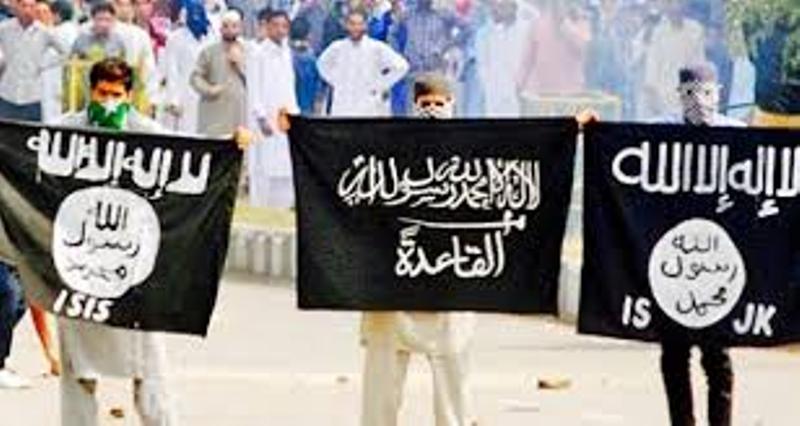 No Longer Aazadi, It Is Fight For Radical Islamic State in Kashmir-News-Time now