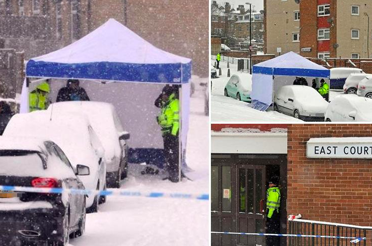 Beast From The East Cripples UK, Europe; Death Toll 55