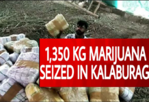 Bengaluru Police Bust Major Drug Racket, Seize 1.3 Tonnes Of Ganja In Kalaburagi