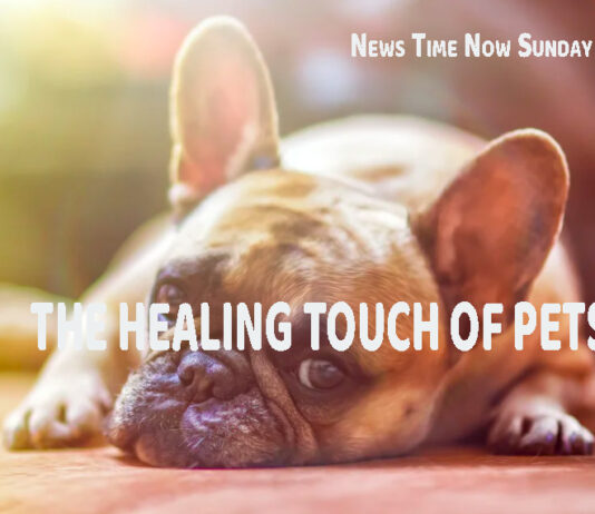 THE HEALING TOUCH OF PETS