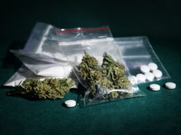 Sandalwood Drug Peddling Case Takes New Turn