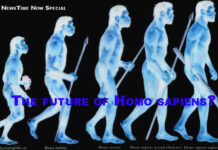 The future of Homo sapiens?