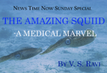 The amazing squid -a medical marvel