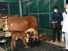 Karnataka Assembly Passes Tough Anti Cow-slaughter Bill
