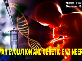 HUMAN EVOLUTION AND GENETIC ENGINEERING