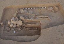 People of Indus Valley Civilization used to eat beef: Research