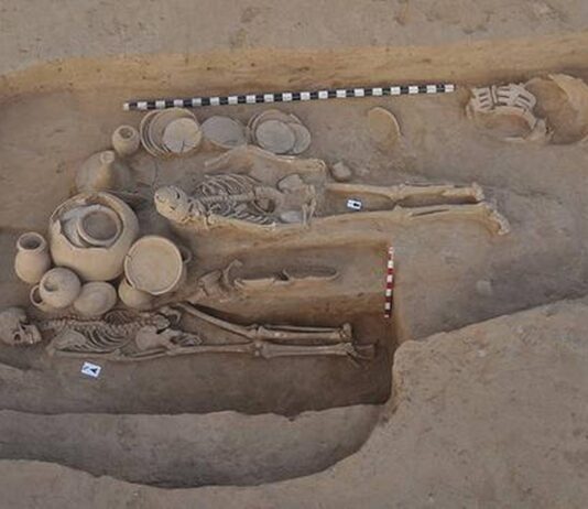People of Indus Valley Civilization used to eat beef: Research