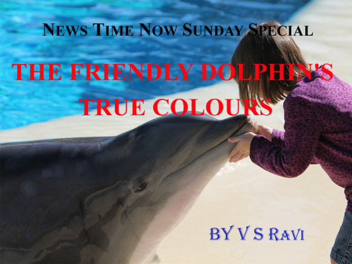 THE FRIENDLY DOLPHIN'S TRUE COLOURS