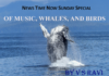 OF MUSIC, WHALES, AND BIRDS