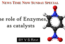 The role of Enzymes, as catalysts