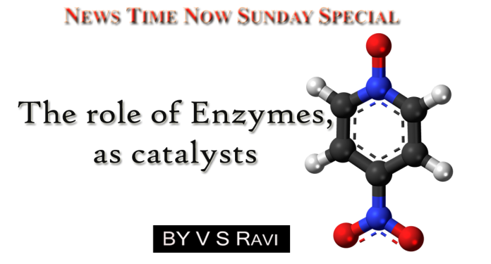 The role of Enzymes, as catalysts