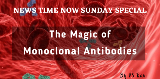 The Magic of  Monoclonal Antibodies 