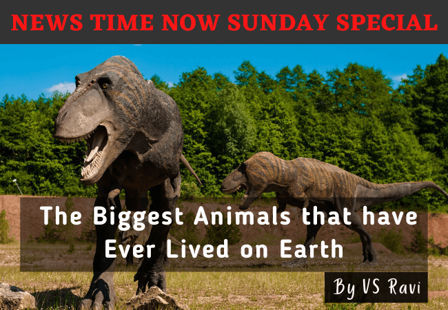 The Biggest Animals that have Ever Lived on Earth
