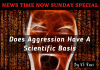 Does Aggression Have A Scientific Basis