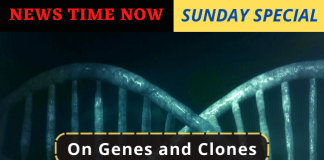 On Genes and Clones